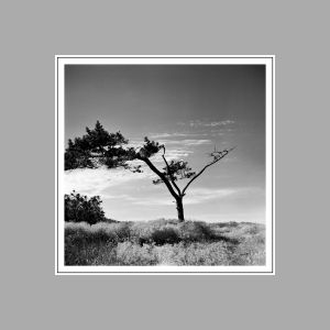 05. "The Monochrome of Tranquility". Analogue photography, 1975-90, 75x75 cm.