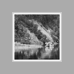 16. "The Monochrome of Tranquility". Analogue photography, 1975-90, 75x75 cm.