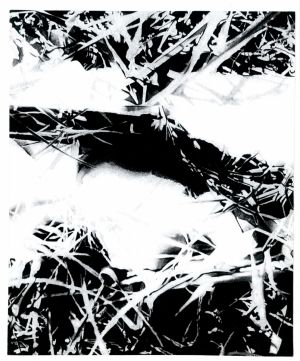 Rimgaudas Maleckas. Fotografija iš serijos „Fotografikos abstrakcijos”,  fotografijos matmenys 60 X 80 cm., spauda. Fotografijos kaina 350 Eur.