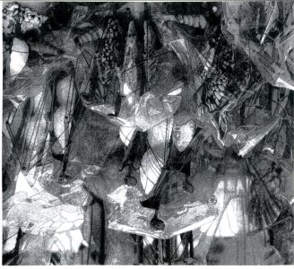 Rimgaudas Maleckas. Fotografija iš serijos „Fotografikos abstrakcijos”,  fotografijos matmenys 80 X 60 cm., spauda. Fotografijos kaina 350 Eur.