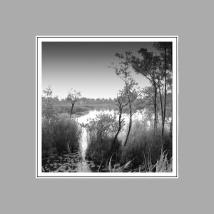 23. "The Monochrome of Tranquility". Analogue photography, 1975-90, 75x75 cm.