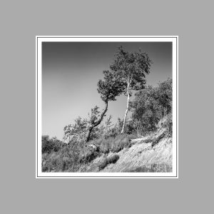 24. "The Monochrome of Tranquility". Analogue photography, 1975-90, 75x75 cm.